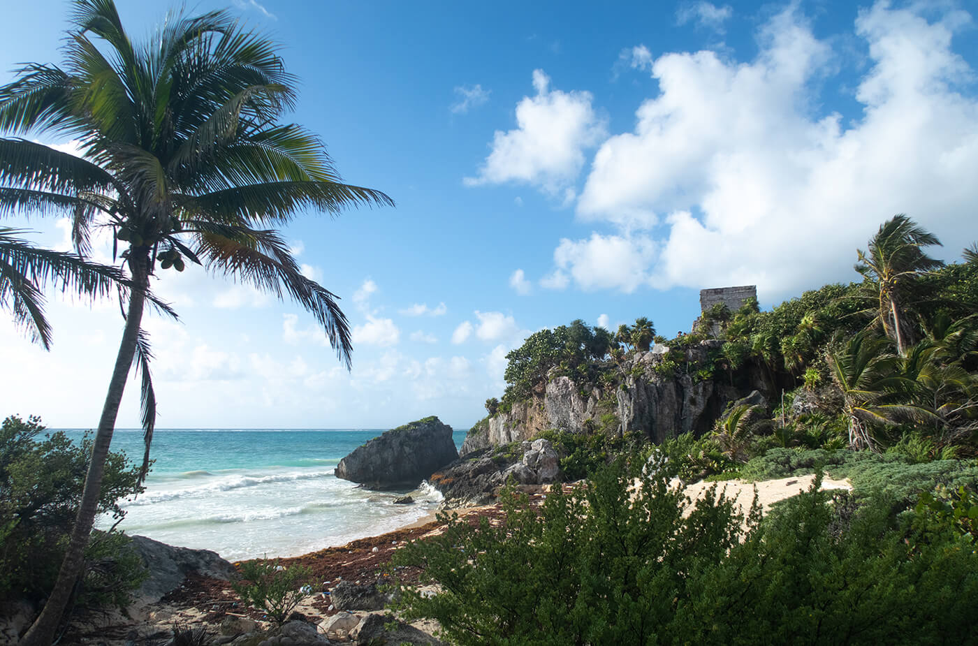 Blick auf Bucht mit Palme und Maya Ruinen von Tulum