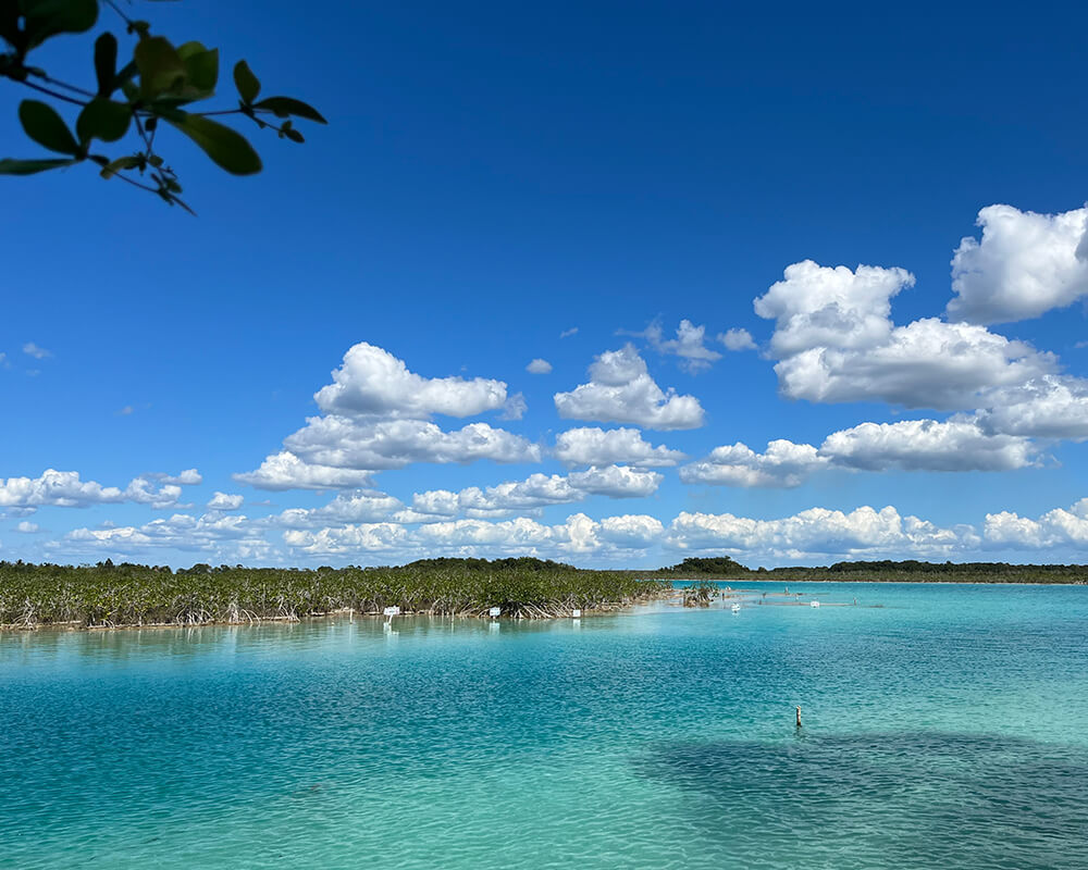Lagune mit türkisenem Wasser, Mangroven und blauem Himmel