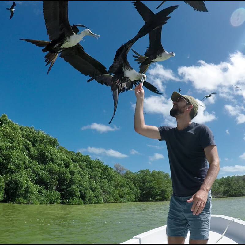 Mann füttert Vögel auf Boot