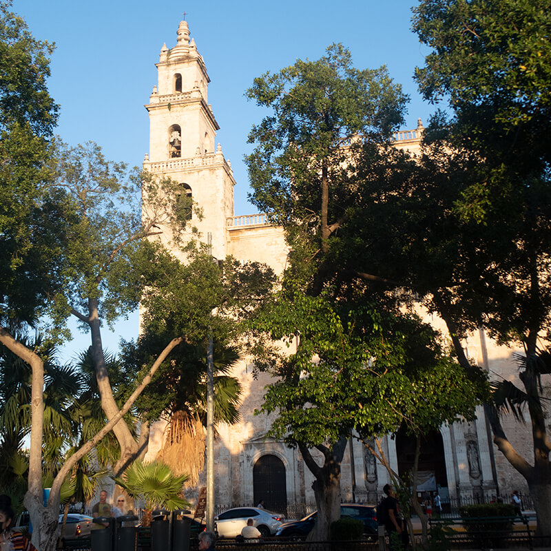 Kathedrale von Merida hinter Bäumen
