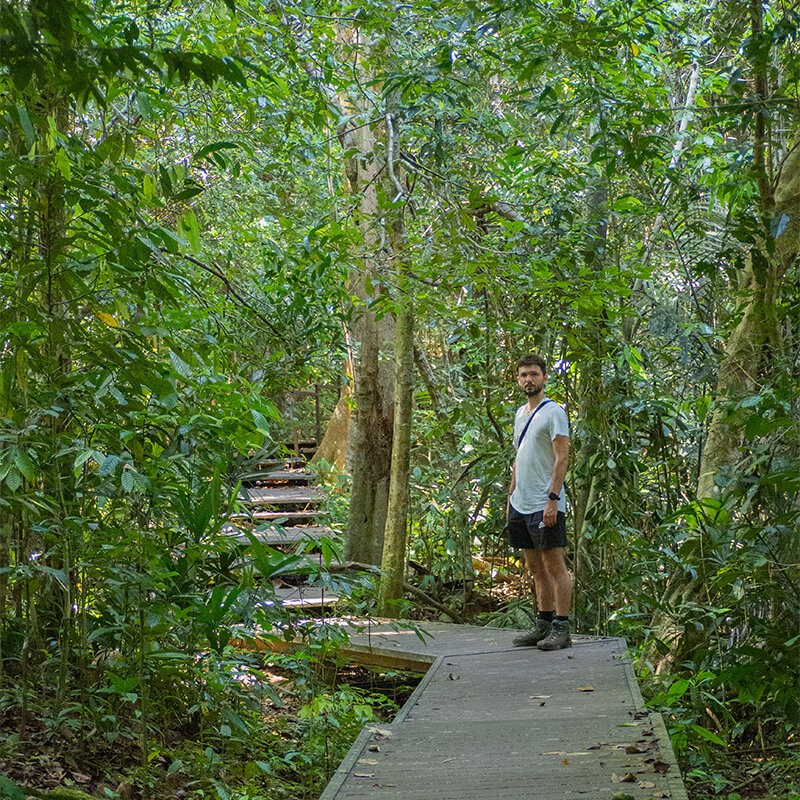Junger Mann steht auf einem Weg im Regenwald