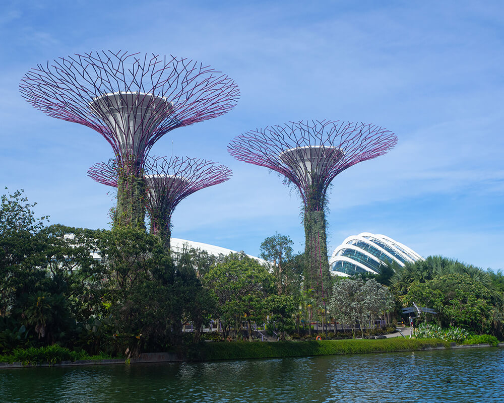 Fluss mit Supertrees in Gardens by the Bay