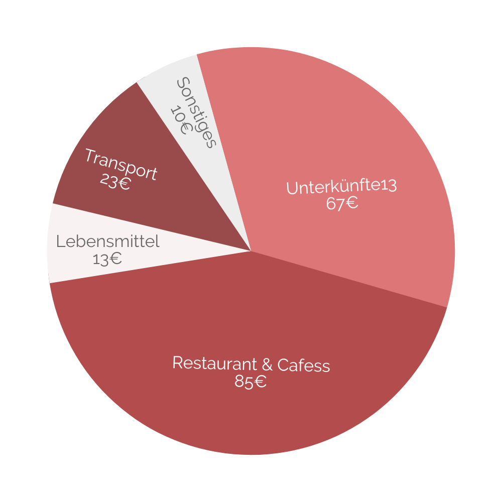 Kreisdiagram, dass die Vertreilung von Reisekosten darstellt