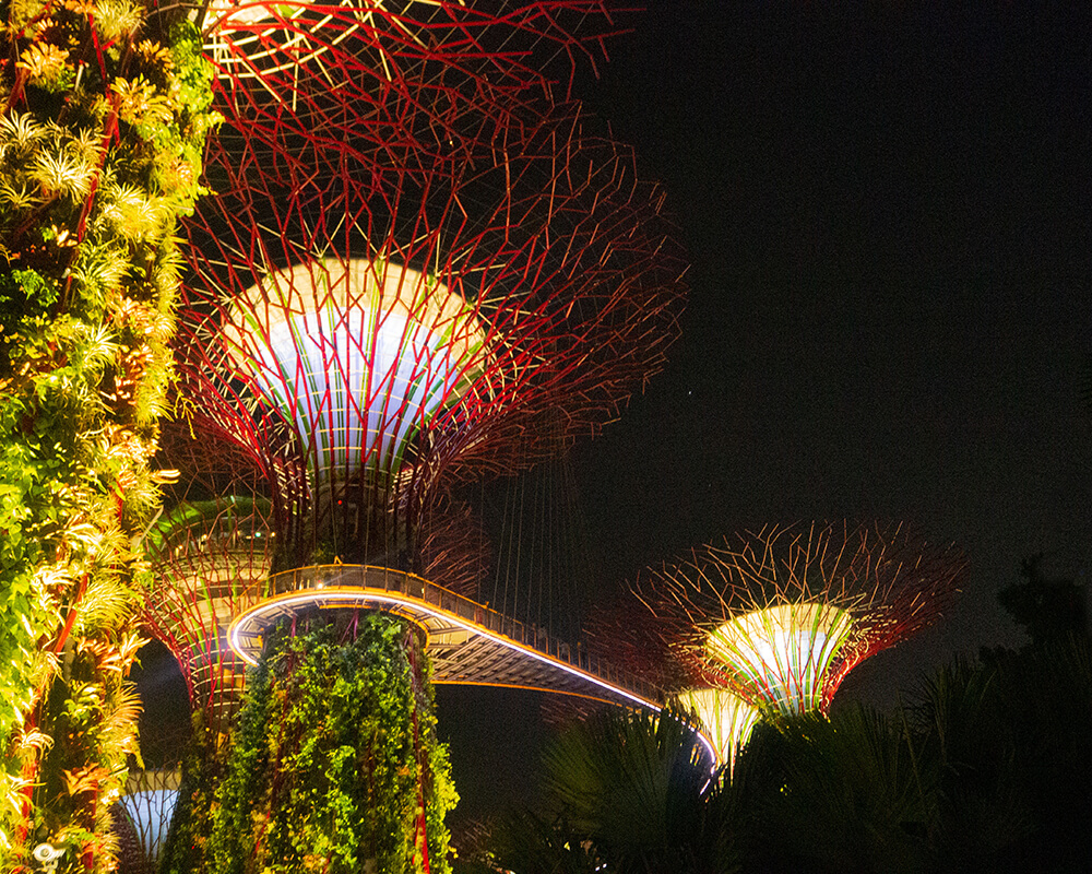 Beleuchtete Supertrees 