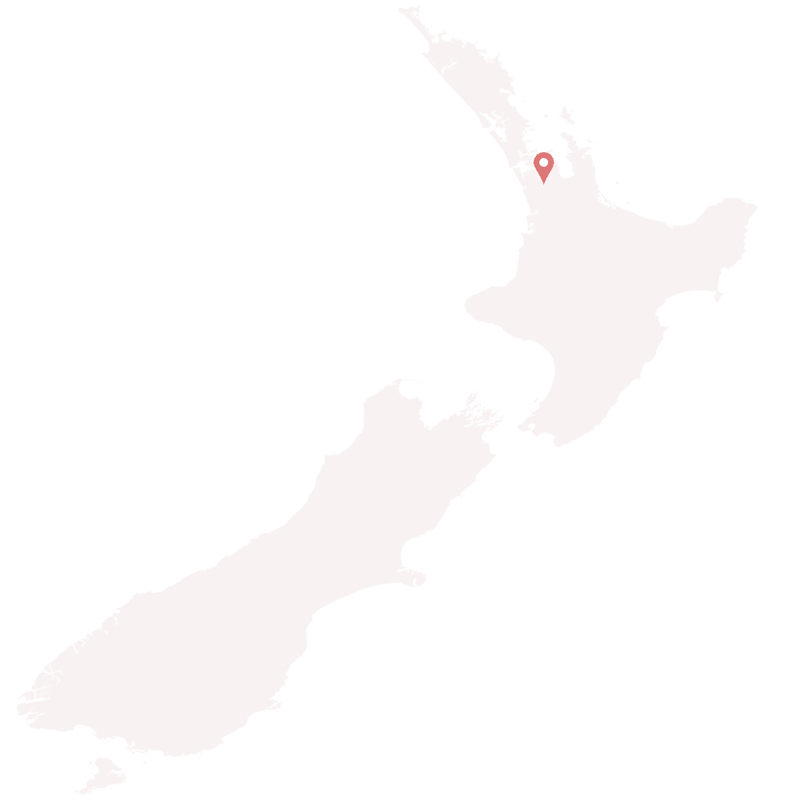 Neuseeland Karte mit Pin zwischen Auckland und Hamilton