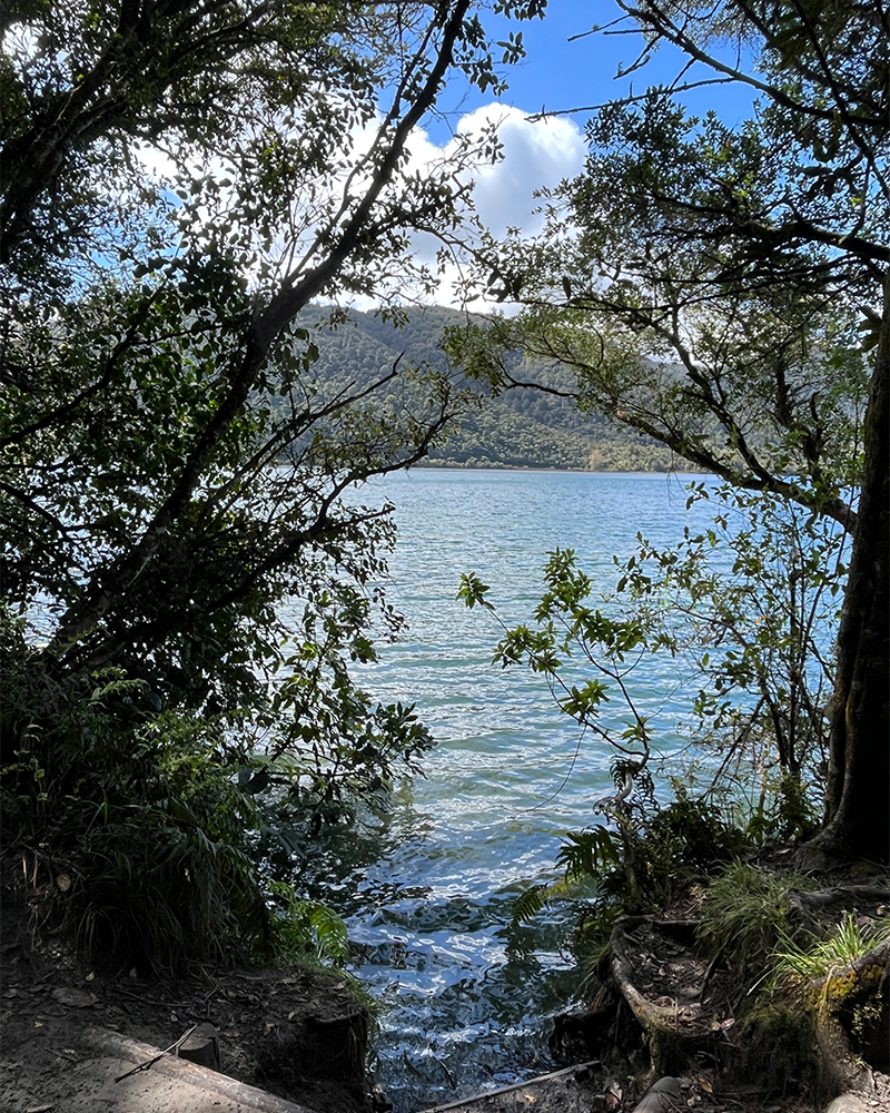 Blick zwischen Bäumen auf einen See