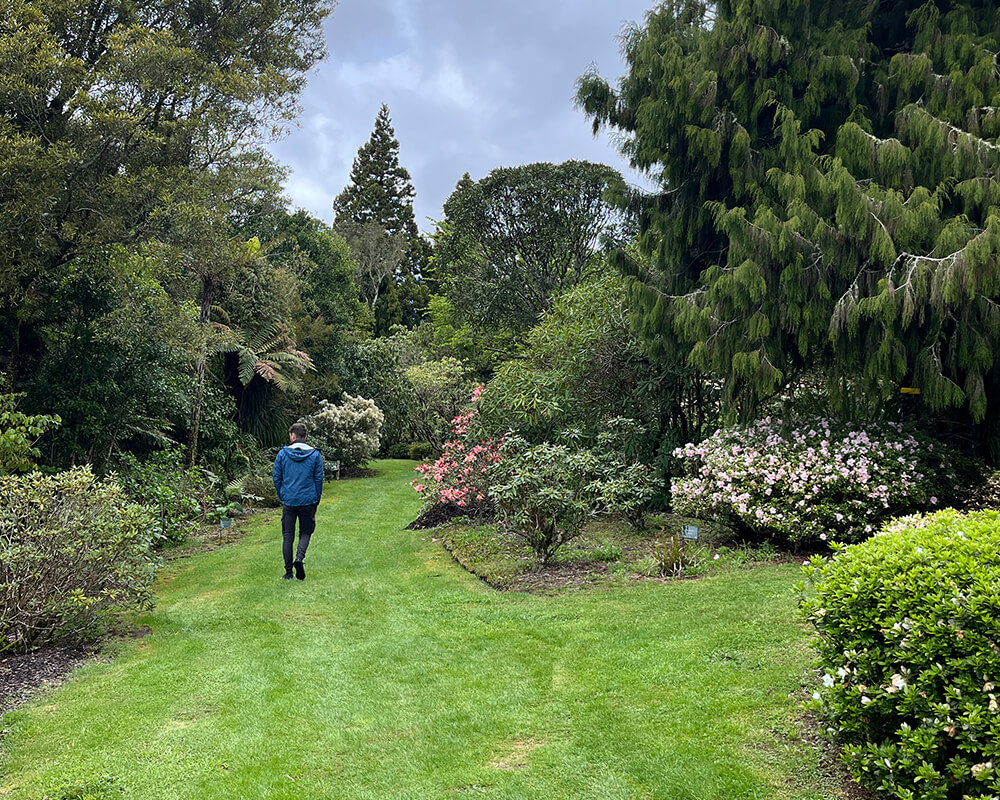 junger Mann von hinten, läuft durch die Pukeiti Gardens