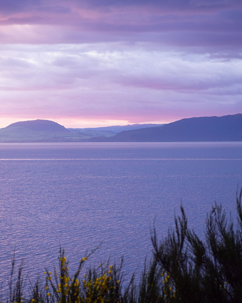 Lila-rosaner Sonnenuntergang über dem Lake Taupo