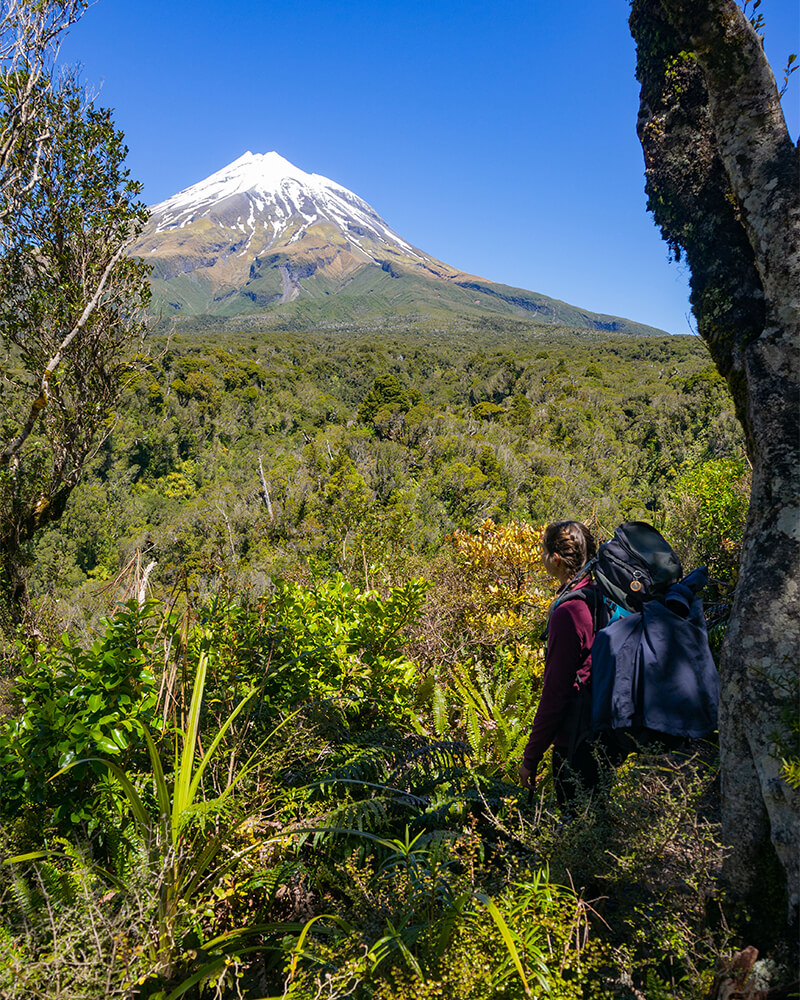 junge Frau steht im lichten Wald mit Blick auf den Mount Taranaki