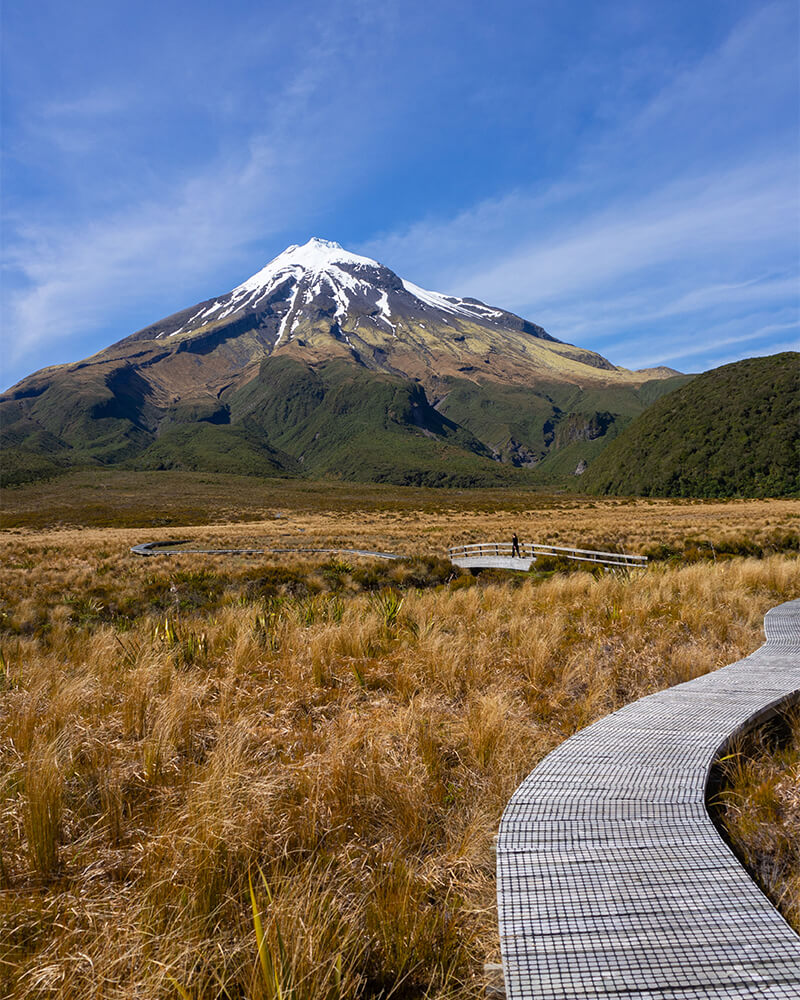 Holzweg durch trockens Graslandschaft fürt auf den Mount Taranaki zu