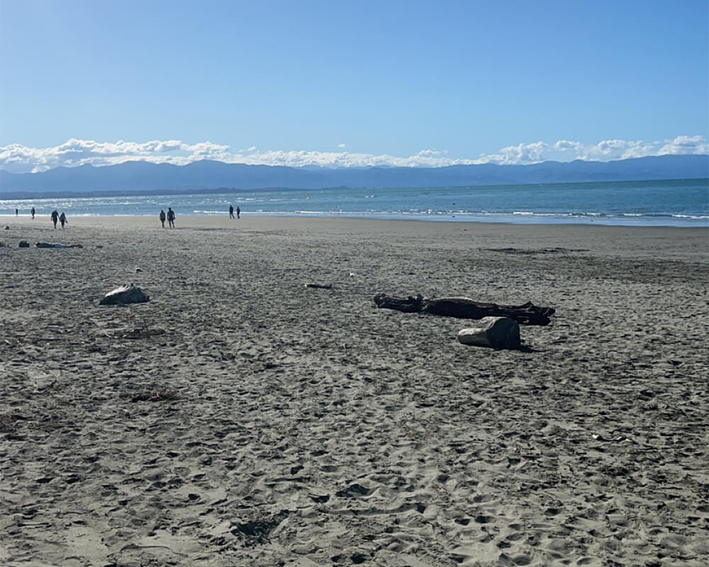 Tahunanui Beach