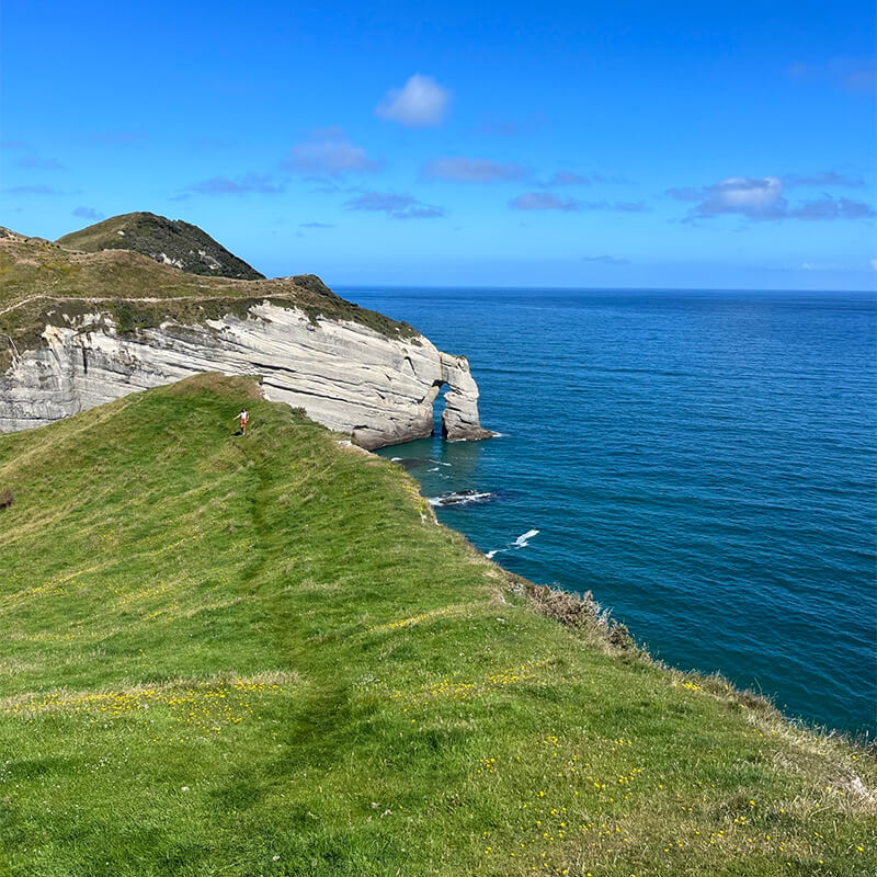 Klippe am Cape Farewell