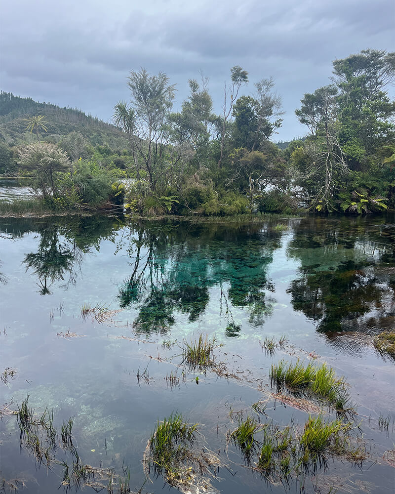 blaues Wasser der Te Waikoropupu Springs