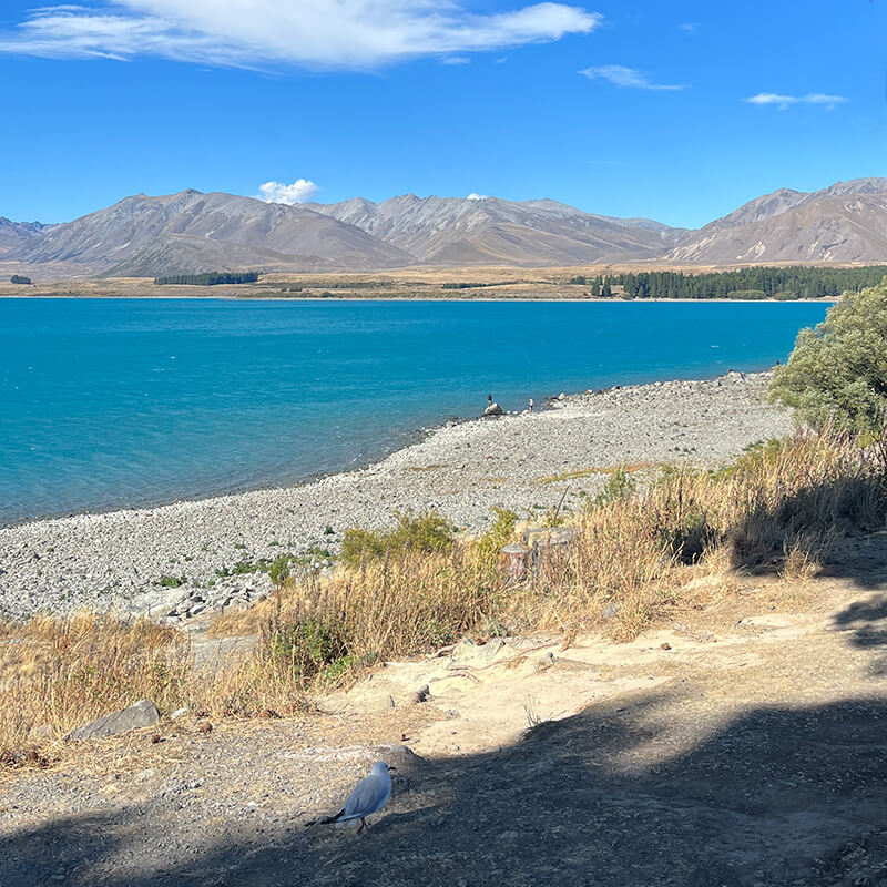hellblauer See zwischen goldener Landschaft